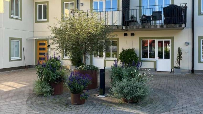 Vår innergård prunkar och blommar